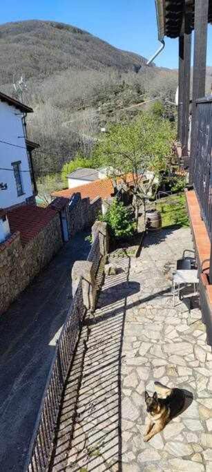 Hostal Montemayor Montemayor del Rio Екстериор снимка